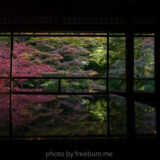 【2021】京都・瑠璃光院の紅葉。超広角と望遠レンズで撮影