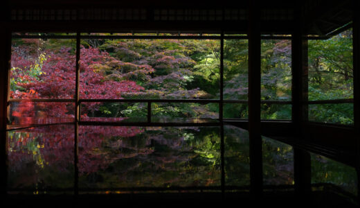 【2021】京都・瑠璃光院の紅葉。超広角と望遠レンズで撮影